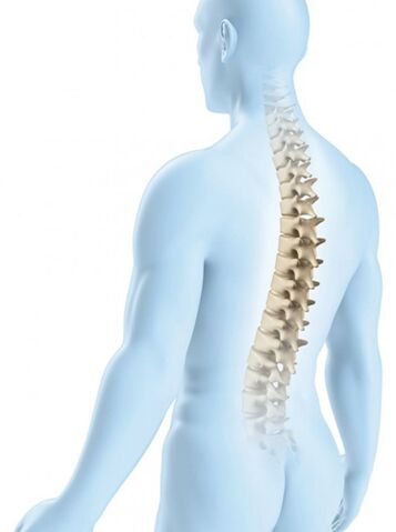 La lésion de la région thoracique est moins probable en raison de sa force physiologique